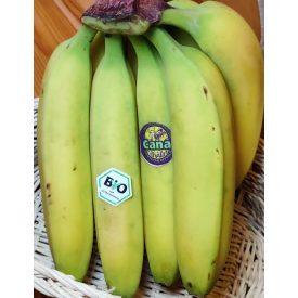 Banán bio - ecuadori