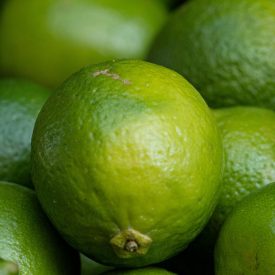 Lime bio - brazil