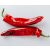 Hegyes paprika piros bio "RAMIRO"