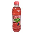 Jana jeges tea erdei gyümölcs-áfonya 500 ml