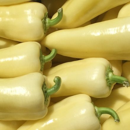 Bio tv paprika magyar 500g