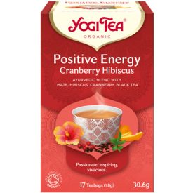 YOGI BIO POZITÍV ENERGIA TEA 17 filter