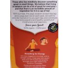 Yogi bio tea narancsos gyömbér vaníliával 17 filter