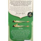 Yogi bio tea fehér tea aloe verával 17 filter