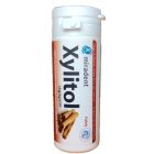 XYLITOL Rágógumi, fahéj ízű, 30db