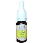 Bach virágeszencia olajfa 10 ml