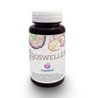 Freyagena Forte Boswellex kapszula 60 db