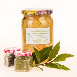 fermentált