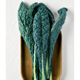 Bio fekete káposzta Cavolo nero magyar