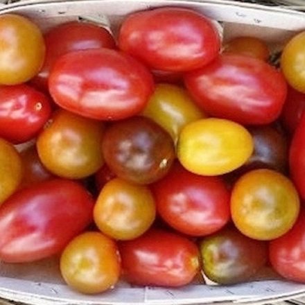 Bio koktélparadicsom 'színes' magyar