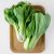 Bio pak choi magyar