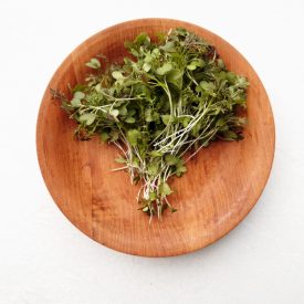 Mikrozöld mizuna - 30 gr
