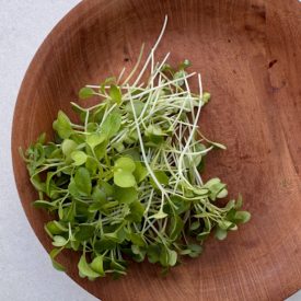 Mikrozöld pak choi - 30 gr