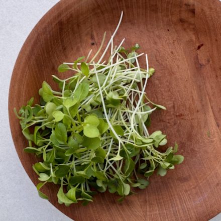 Mikrozöld pak choi - 30 gr