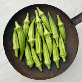 Okra magyar