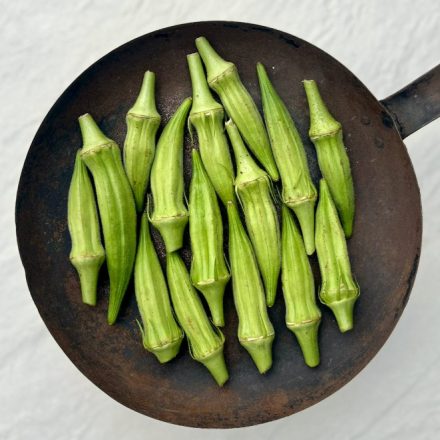 Okra magyar