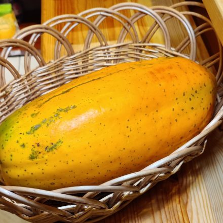 Papaya magyar 1-1,5 kg