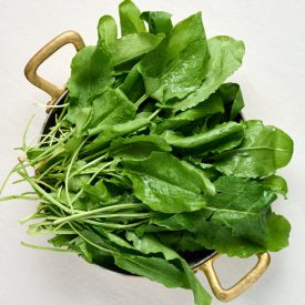 Sóska magyar